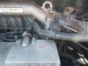 изображение_viber_2025-04-04_14-34-30-689