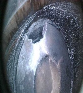 изображение_viber_2025-07-14_10-44-24-080